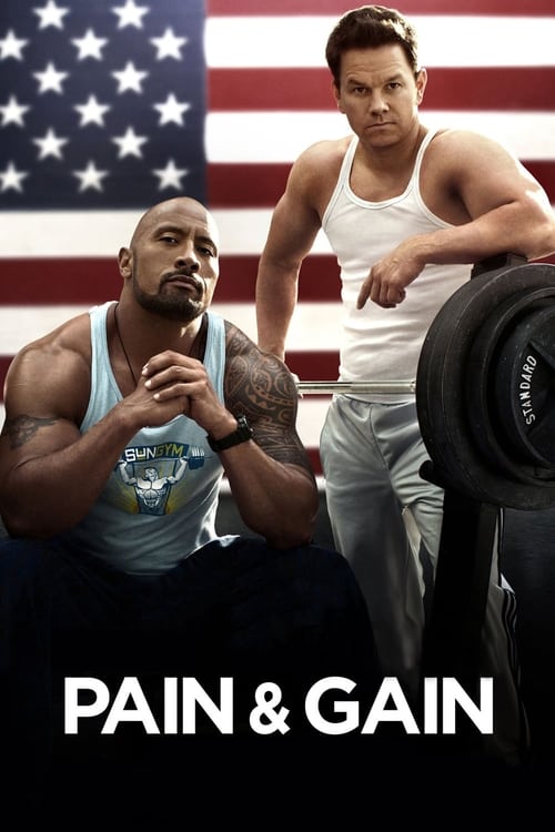 Pain and Gain poster